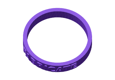 Bangle — 3D preview